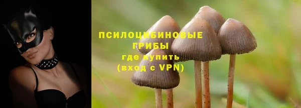 прущая мука Алзамай